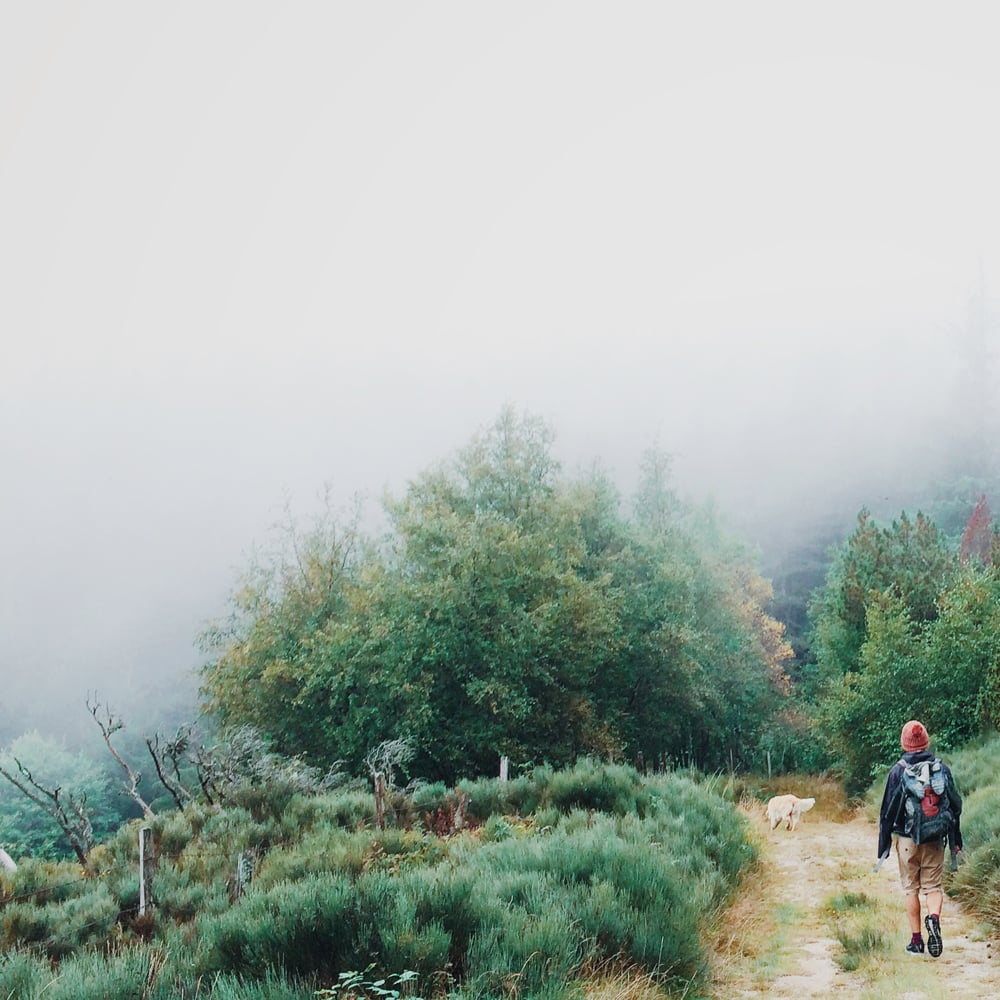 Un viaggio sensoriale attraverso il Ticino.